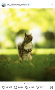 向井康二のInstagram